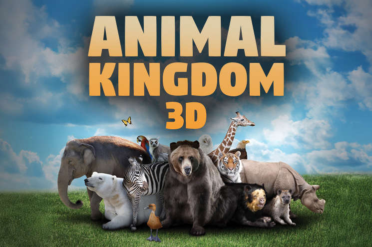 New movie alert 🚨🎥🎬🍿 “Animal Kingdom 3D” is now playing in the #InfinityTheater! dmns.mobi/animalkingdom3d