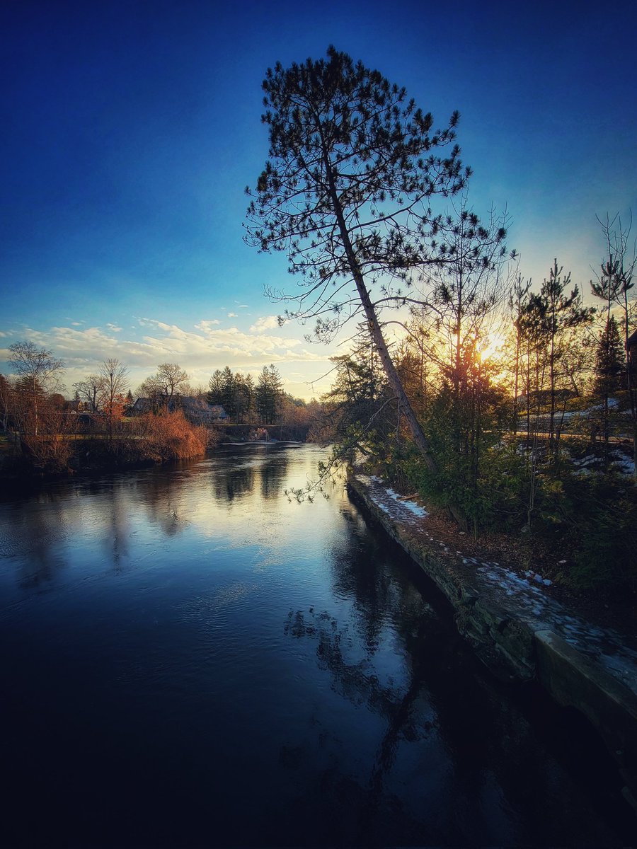 darrellnotdaryl's tweet photo. Morning in Muskoka https://t.co/1ctAXAtGs1