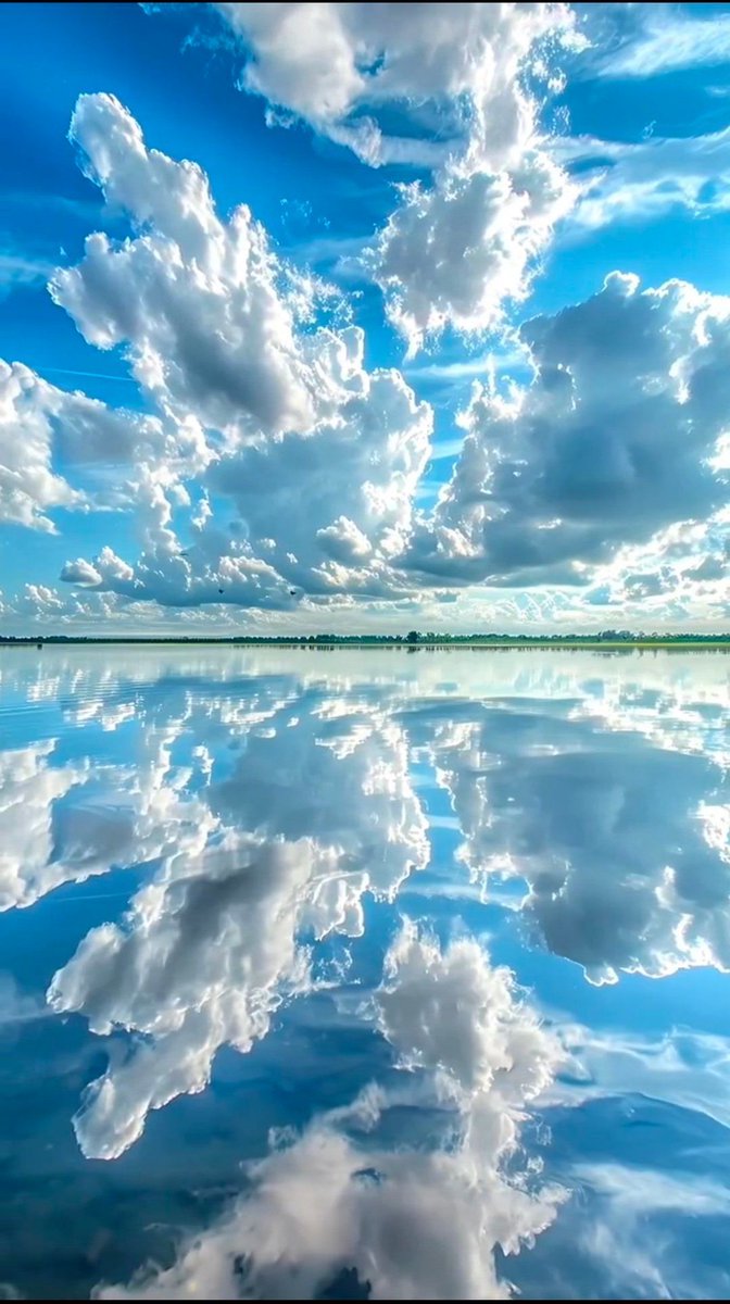 aestheticspost_'s tweet image. 