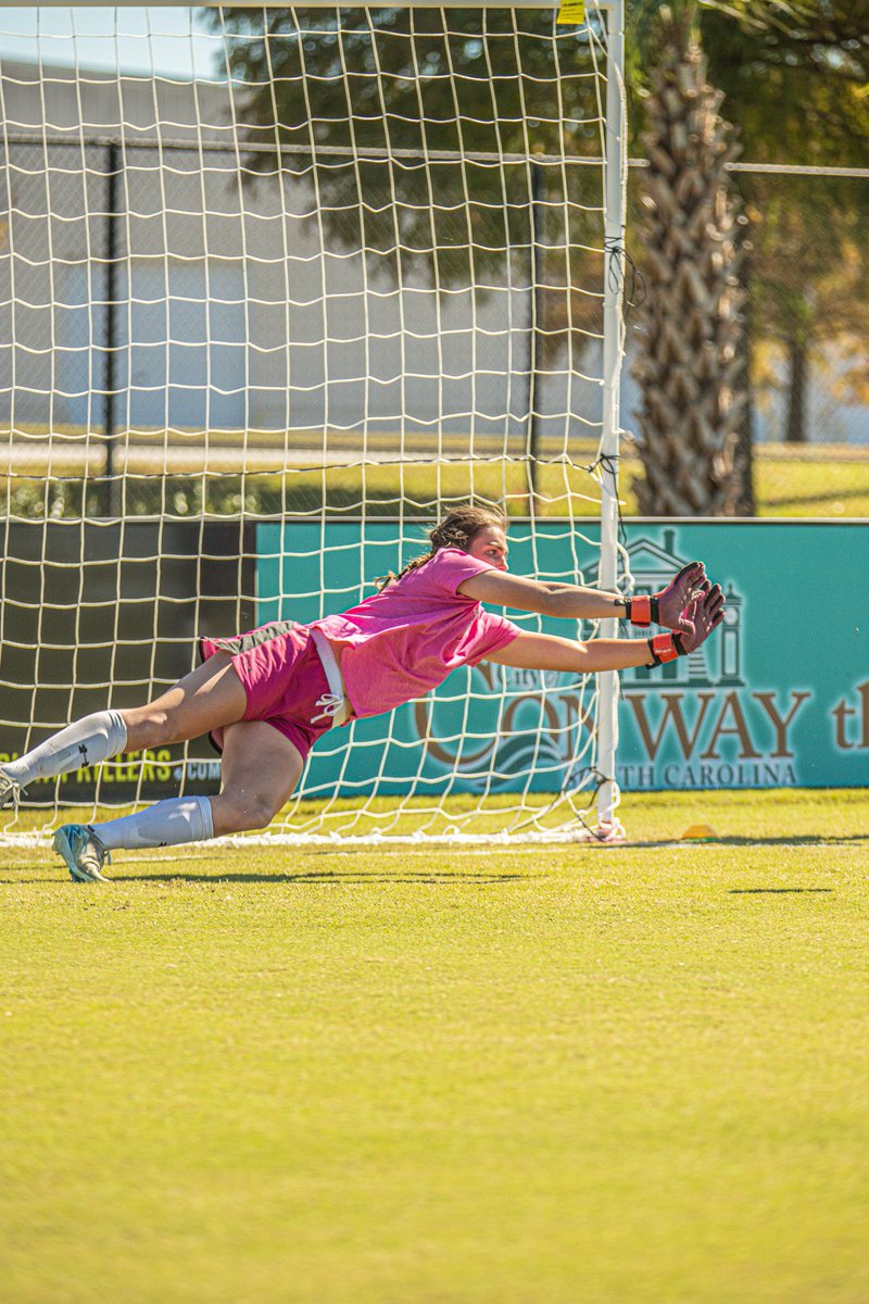 Aris Lamanna tweet media