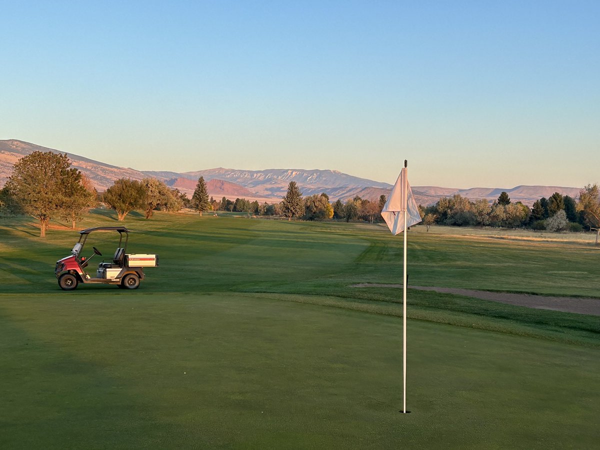 Mike Kelly tweet media