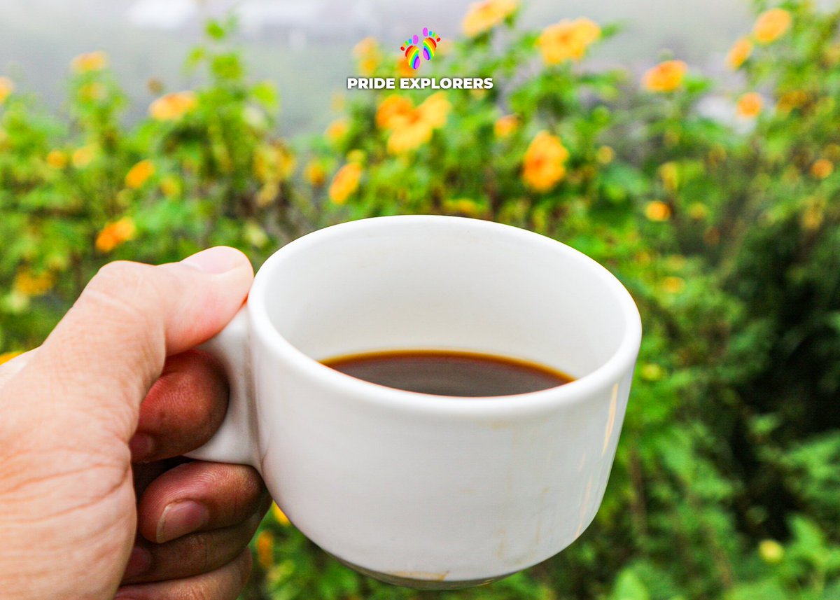 PrideExplorers's tweet image. BUSCALAN + SAGADA ADVENTURE 2.0 👣🏳️‍🌈

HIGHLIGHT:
Morning Coffee
at Rice Field Terraces ☕😍
📍 Buscalan Village

Come &amp;amp; join us on our next adventure 😎
Just DM me for details 📩
👉 @PrideExplorers