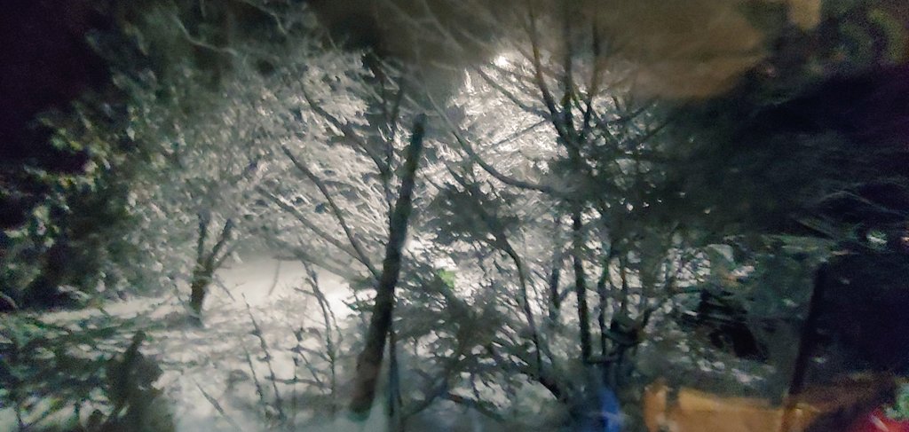 IN GROS CAP. JUST LEAVES ON THE GROUND. OOOPS.
MICHAEL HARGIS IN GROS CAP. STILL FALLING