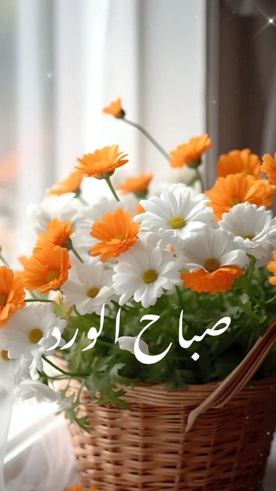 صباح الخير أما بعد : "ونسألك يالله أن لا تجعلنا حملًا ثقيلًا على قلب أحد ولا تجعل لنا رجاءً عند غيرك يا كريم"

صباح الخير 🌹