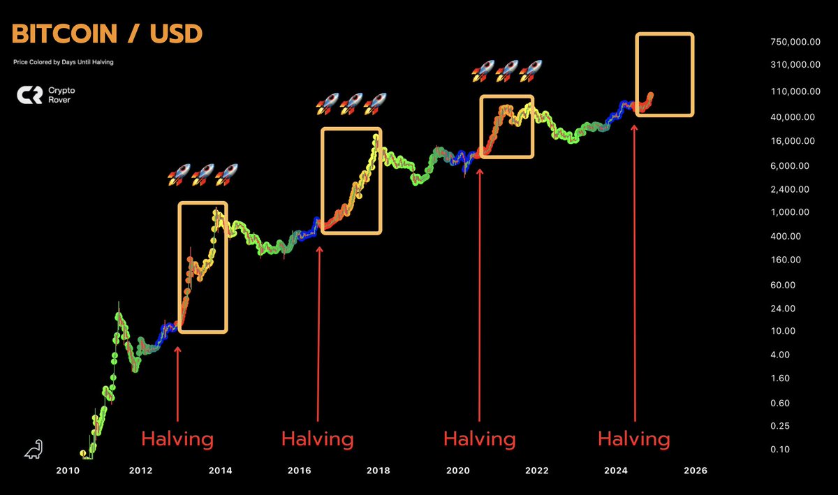 Crypto Rover tweet media