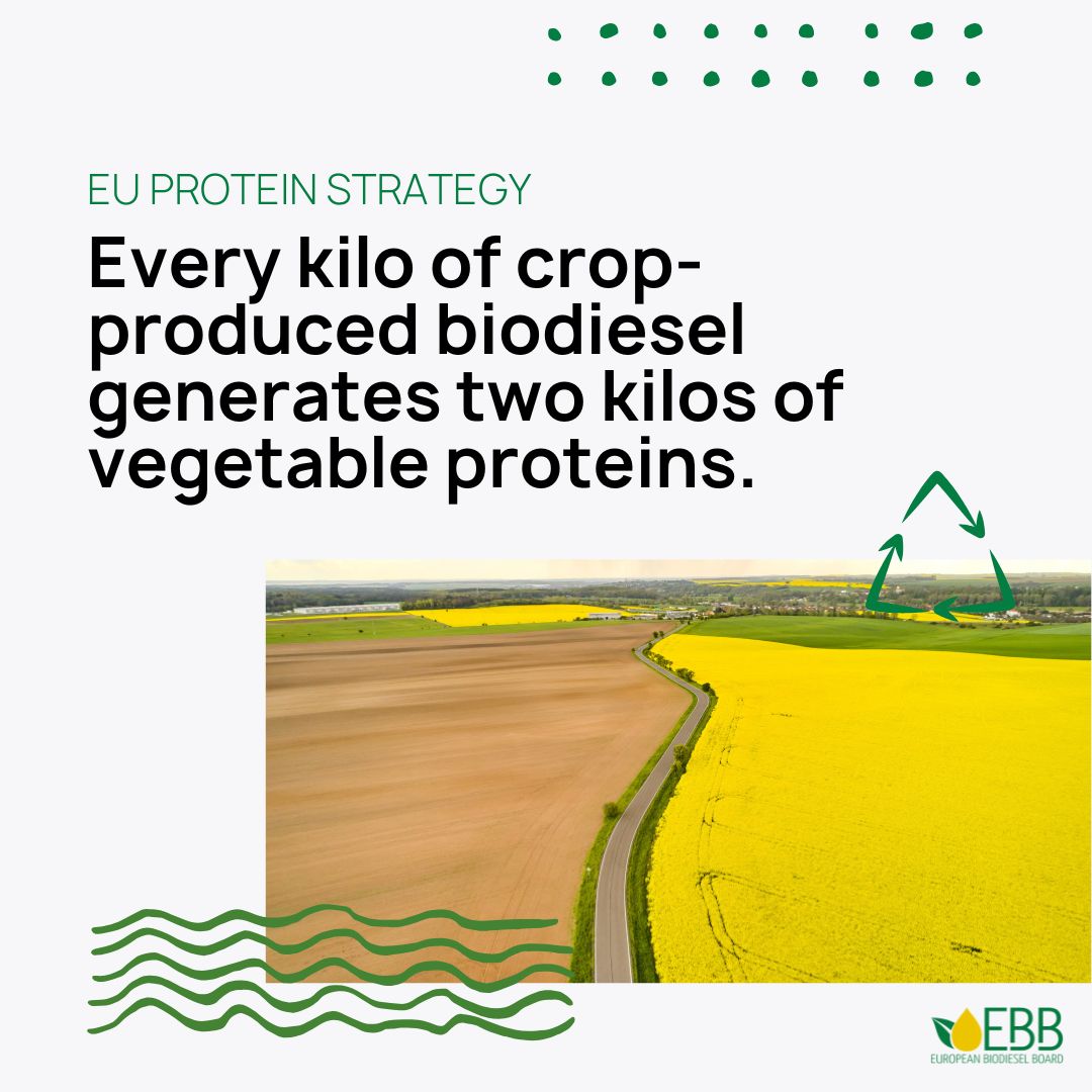 🔎 Spot on 🌱

It is great to see a broad coalition of countries support a paper, initiated by the German and Danish delegations, that calls for a European #protein strategy. The problem is clear: It is time to “address the issue of our supply of #sustainable protein #crops and