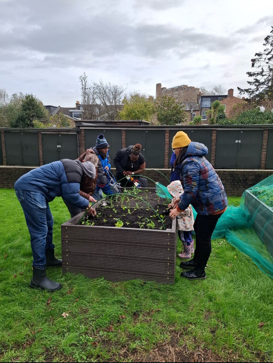 It was great to stop by the Friern Road estate earlier this month to see the vegetable boxes funded by Cleaner Greener Safer funding. Residents had a harvest day at the weekend - they are growing cabbage, garlic, spring onions, radishes, lettuce and more! 🥬 🧅🧄