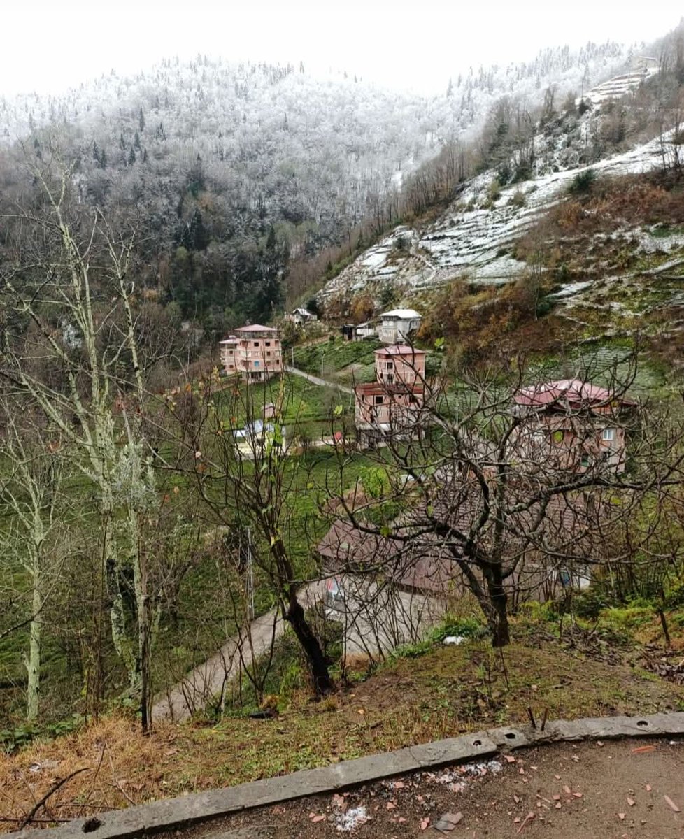 Trabzon Of
Taşhan köyü Çay mahallesi( kukuluyoz)
25 Kasım 2024