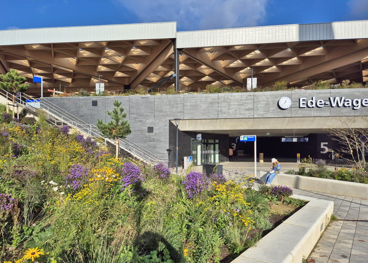Ook het station #Ede-Wageningen gaat voor volop #vergroening!🌿🦋 Erg mooi het nieuwe groene plein, zelfs nu al! Met een zeer fraai duurzaam dak door architectenbureau: #Mecanoo

#Natuurinclusief. #Groen = #Allure
