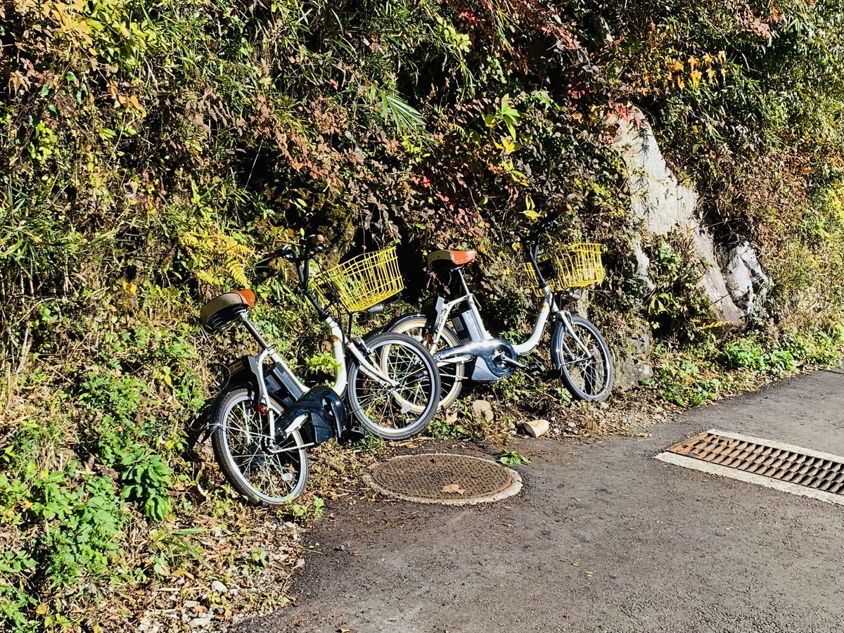 SegwayHakone's tweet photo. 3日間ほど、プリンスホテル~九頭龍神社までへのセラピーロード内にレンタサイクルが放置されています🥲
#hellocycle さんには問い合わせ済みです
ちゃんと返却場所へ返して欲しいです(T^T)
#箱根 #レンタサイクル #ハローサイクル https://t.co/XTAi0LR8W7