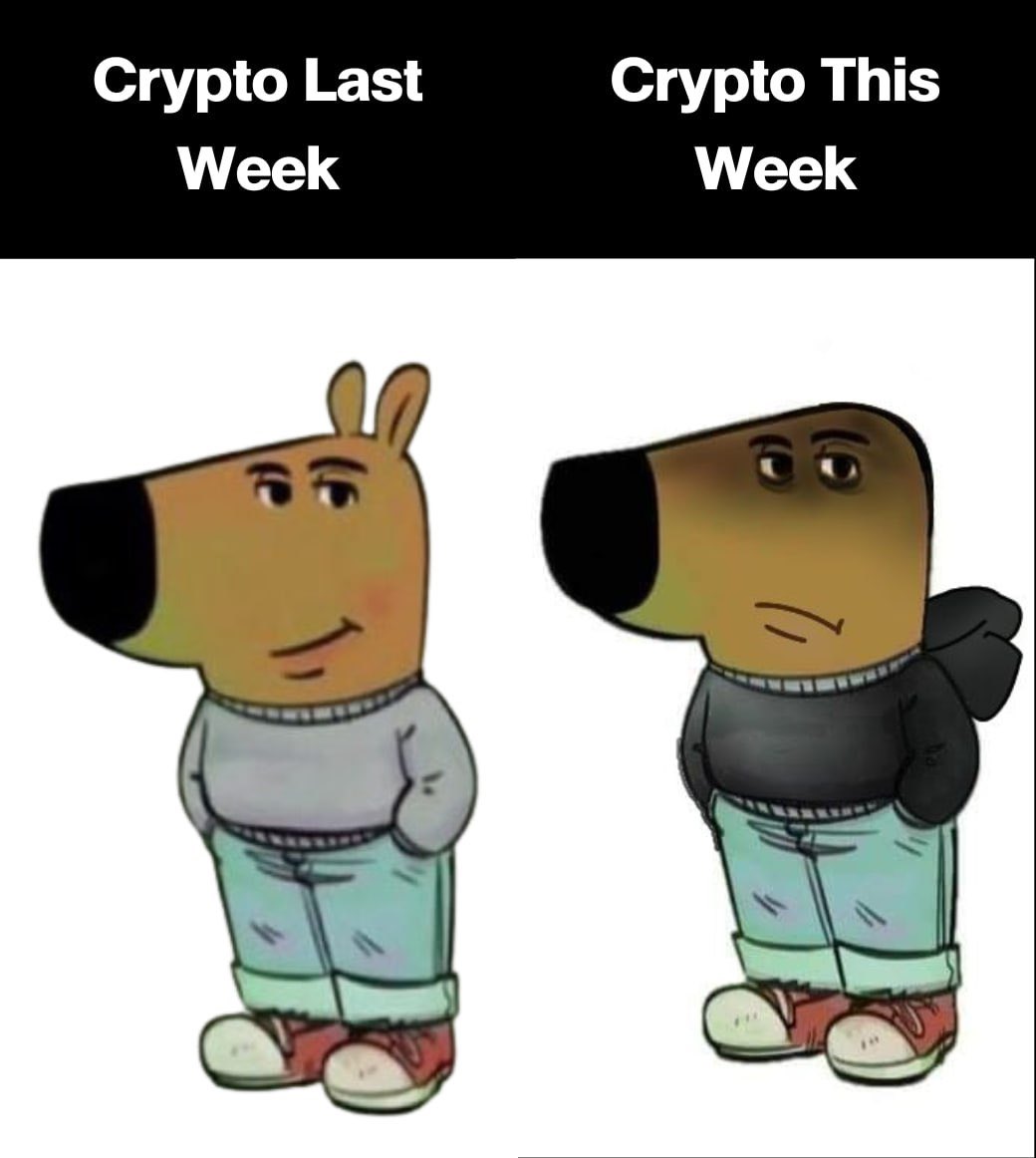 MemeWonder TH tweet media