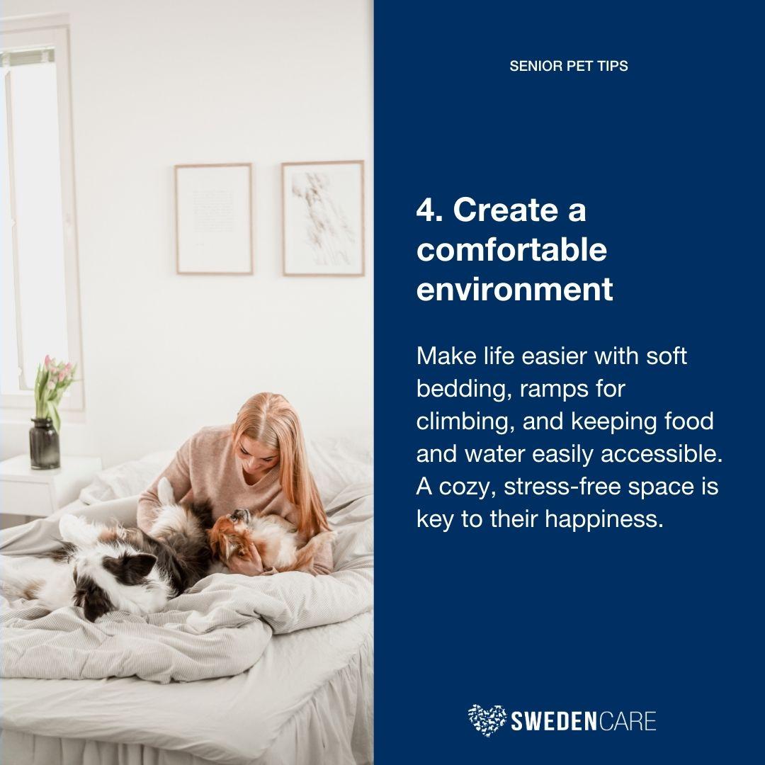 🐾 Swipe right for the secrets to a happy, healthy senior pet life! 💕 Wise, gentle, and full of love... our senior pets deserve nothing but the best in their golden years. 🌟

#swedencare #seniorpets #prodenplaqueoff #plaqueoff #petsupplements