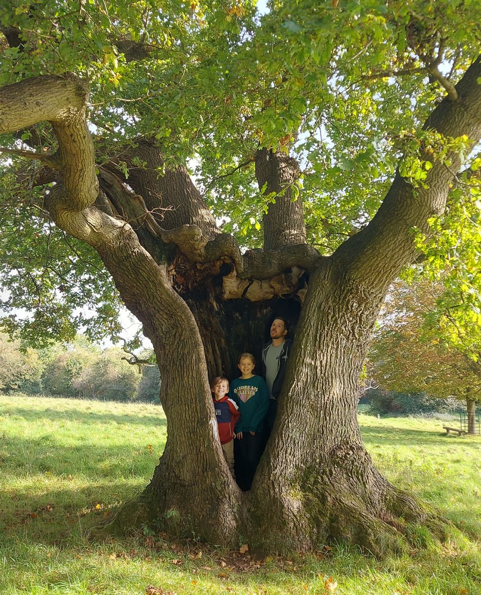 Let’s Celebrate Ancient Trees!⁠
⁠
This brilliant photograph is the winner of our ‘Trees and Me’ category from our Ancient Tree Photography competition, made possible by @woodlandtrust
⁠
Congratulations to Danielle T for this fantastic photo.🏆️⁠⁠ #forestofavon #ancienttrees