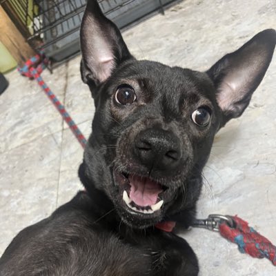 #NewProfilePic (新個人資料照片)