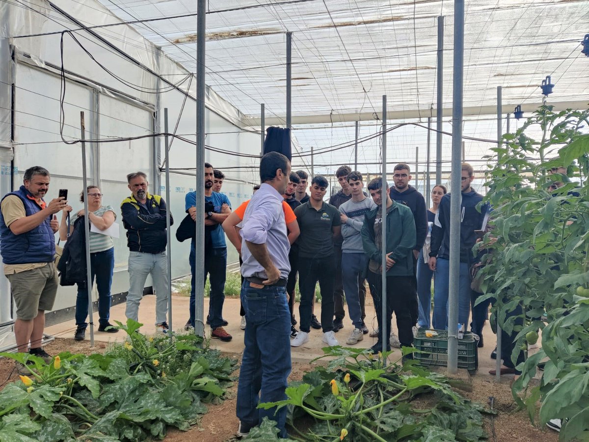 IfapaJunta's tweet photo. El centro #IFAPA de La Mojonera celebra una jornada de #entutorado #sostenible en el marco de @IfapaR 

🌱Se busca impulsar cambios en los tutores para la #reutilización de las #rafias plásticas y su sustitución por otras #biodegradables y #compostables

🌐https://t.co/qUmVyTh7mu https://t.co/4fgyaQ7KPf