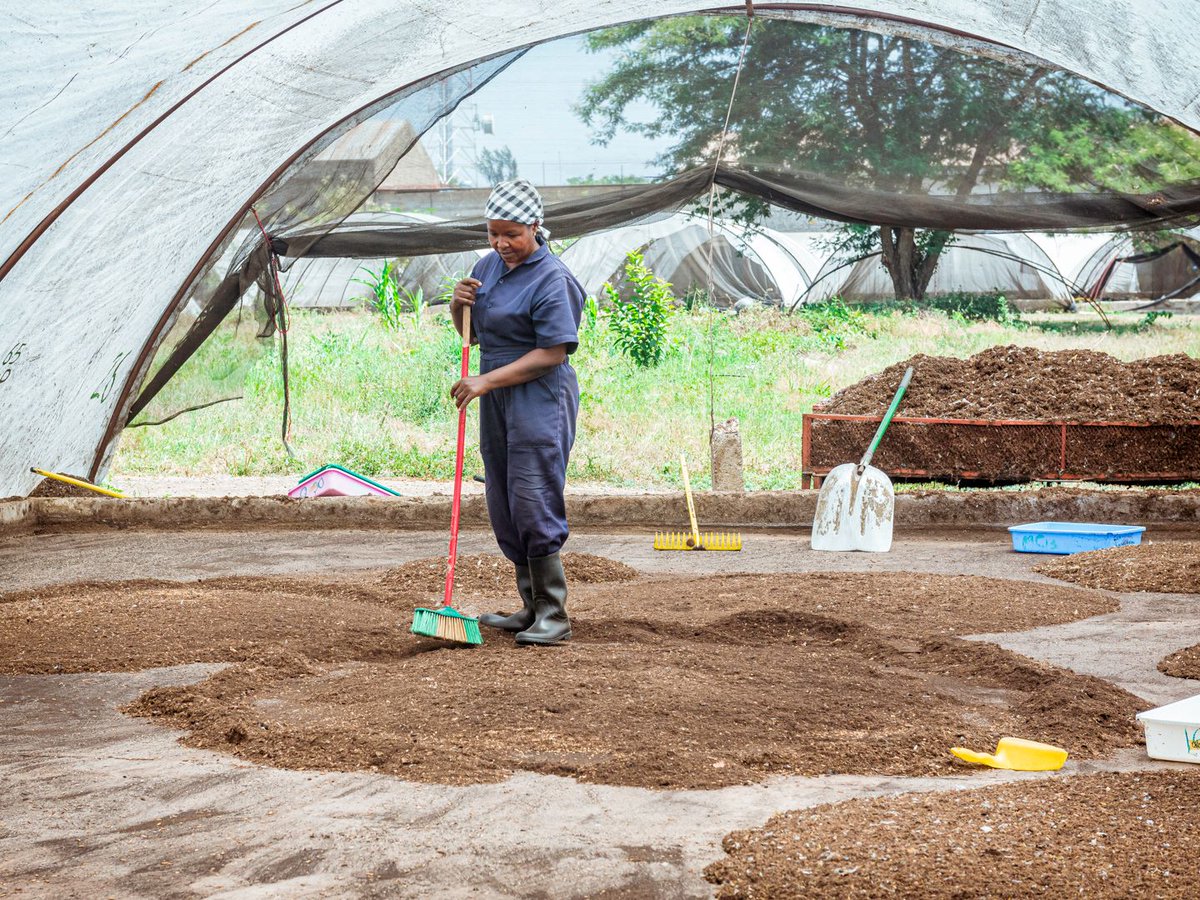 Great tour @ Chanzi #Tanzania &amp; exchange on #black #soldier #fly #BSF #larvae based #waste #utilization.Thanks to Sune Mushendwa &amp; Andrew Wallace for the hospitality &amp; congrats to the achievements,Learn more on our <a href="/ETH_en/">ETH Zurich</a> <a href="/SEC_ETH/">Singapore-ETH Centre</a> <a href="/EawagResearch/">Eawag</a> research sfp.ethz.ch/research/insec…