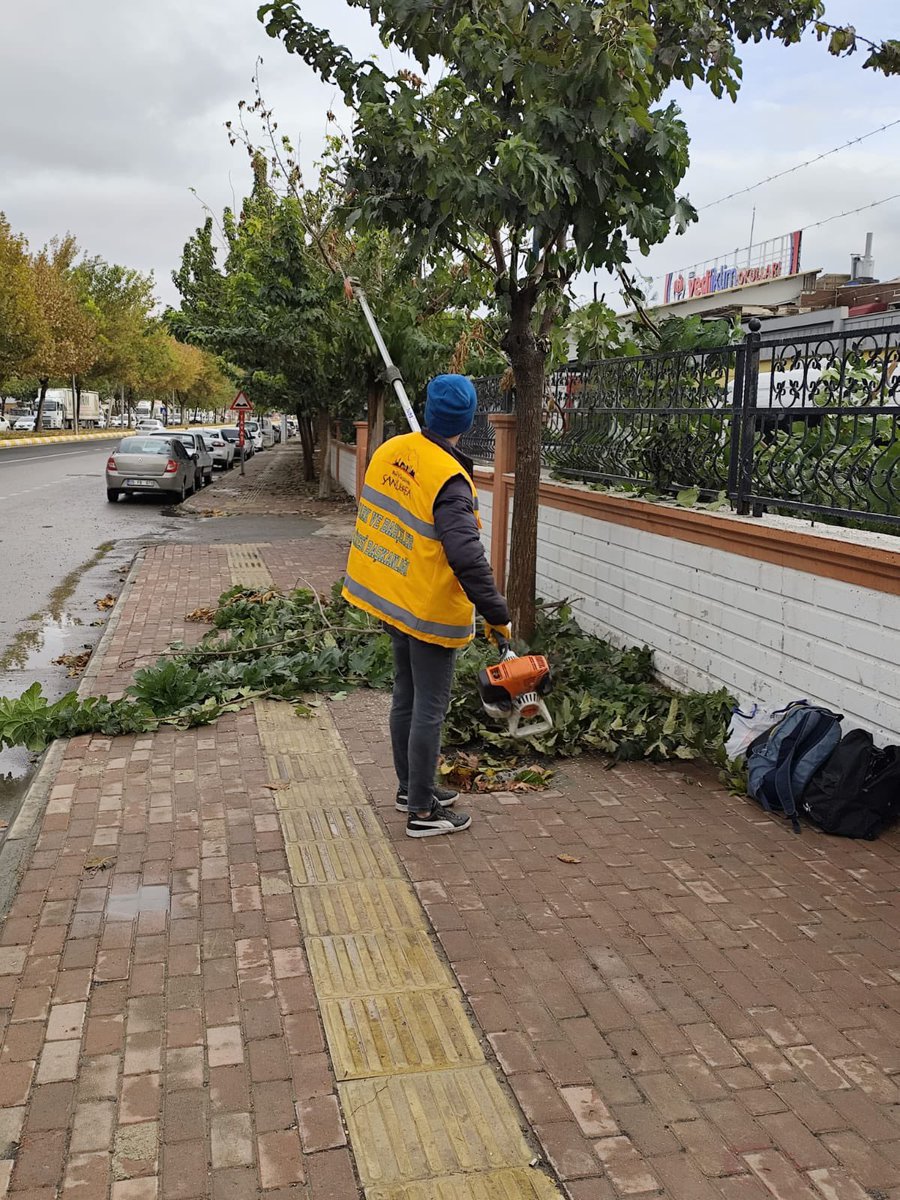SbbPark's tweet photo. 📍Sadun Paşa Bulvarı ❤️

Park ve Bahçeler Daire Başkanlığına bağlı ekiplerimiz; 🚧👷

Mevsimsel Bakım ve Ağaç Budama çalışmalarını sürdürmektedir.🌳

@sanliurfabld 
@MithatCanKutluc 
@halilaldeniz_ 
@urunyahya 
@Tuba_Yaygin 
@mesuthicri https://t.co/PMtuQkgU38