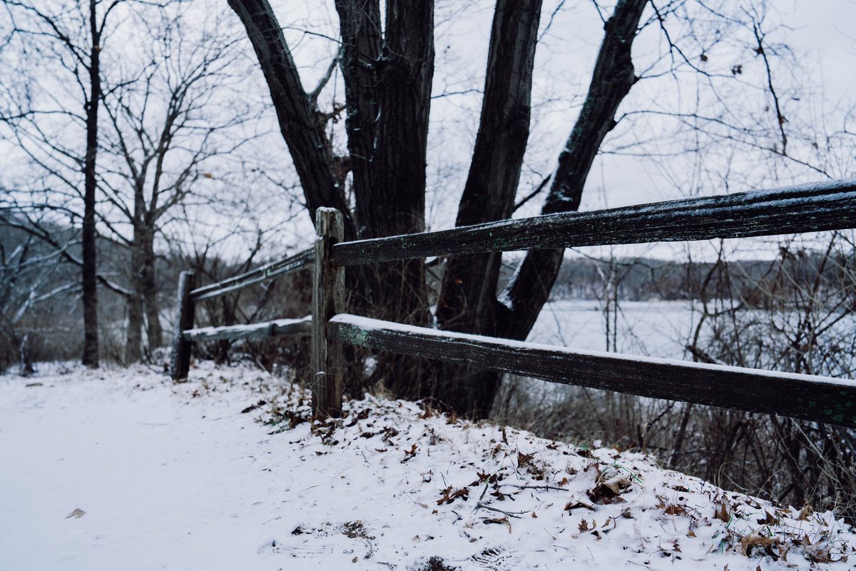 JesseCanady27's tweet image. Winter &amp;gt; Spring &amp;gt; Summer &amp;gt; Fall