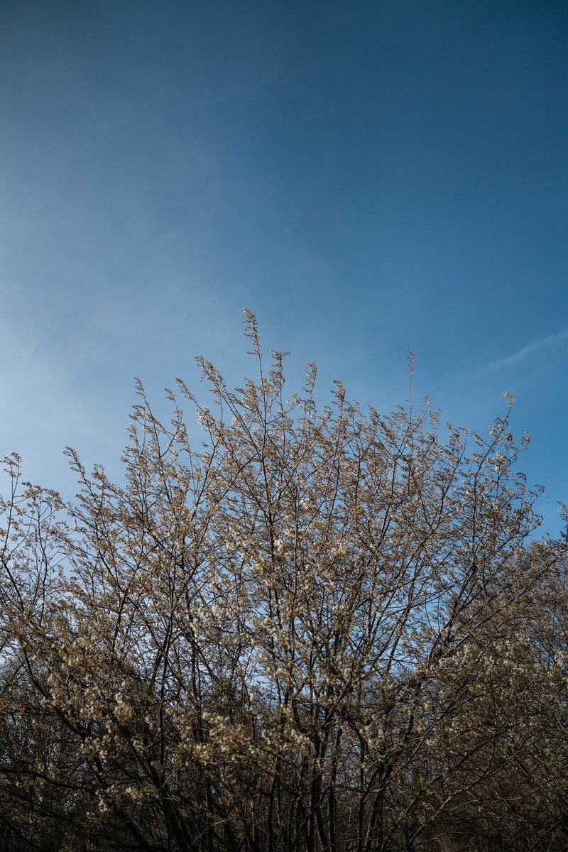 JesseCanady27's tweet image. Winter &amp;gt; Spring &amp;gt; Summer &amp;gt; Fall