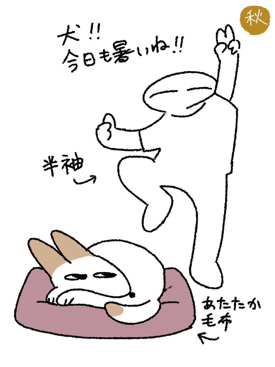 人間と犬の夏と秋 