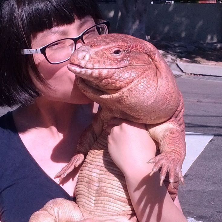 quizás no es este el momento perfecto pero las cosas de pronto SE DAN <a href="/magaibasogentle/">MAGAIBA 🦎</a>