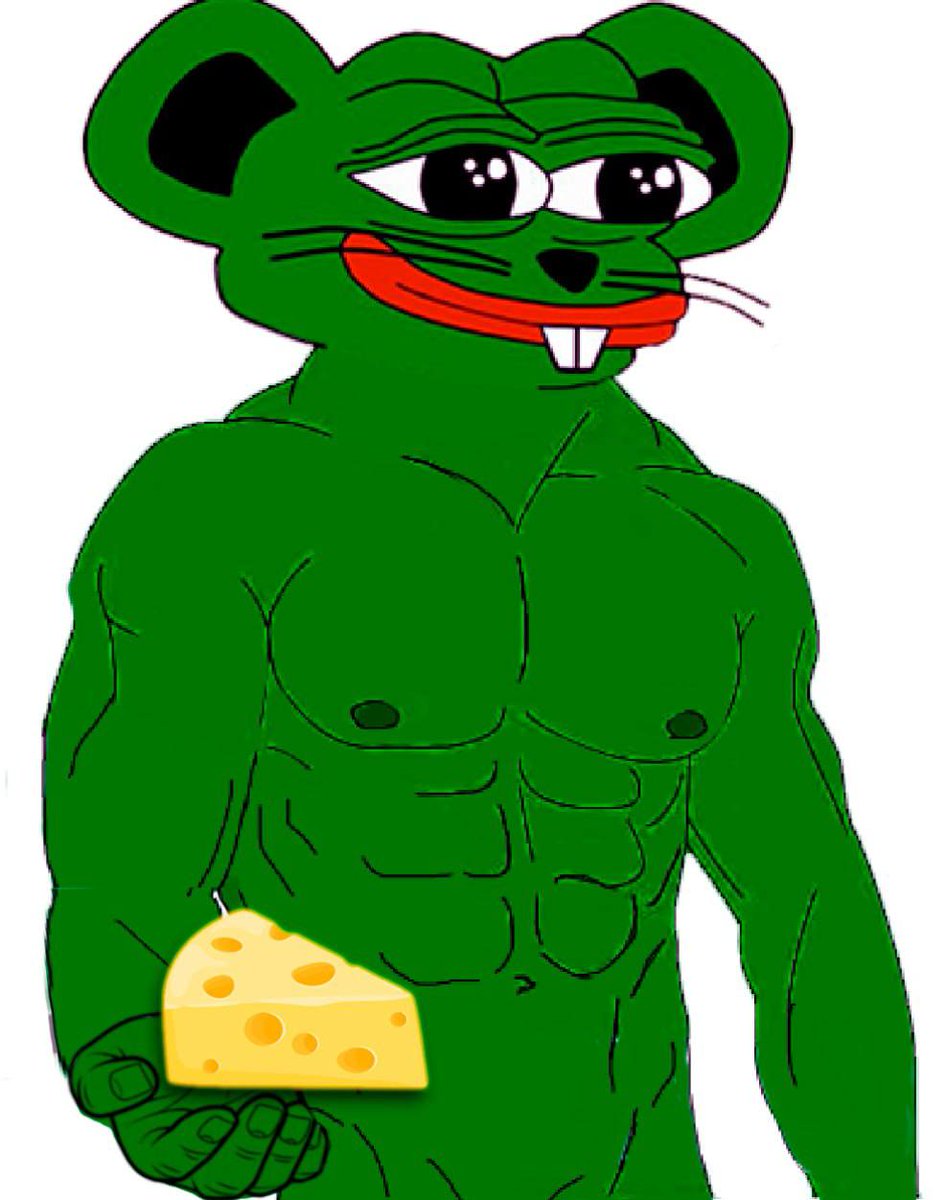 SPepe9438's tweet photo. @CTO_Cheese Cheese gains https://t.co/O5tymCjKsl