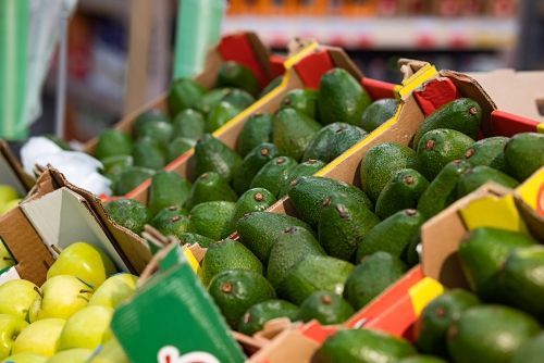 AGRIDevelopmnts's tweet photo. South Africa has secured approval to export fresh Avocados to three major Asian markets: Japan, China, and India which together imported over $300 million USD last year. 

#Avocados #Agriculture #Food #Finance #Investment #Philippines #AGRIDevelopments

https://t.co/AUuRnEZGCe https://t.co/IjzJX3aAM3