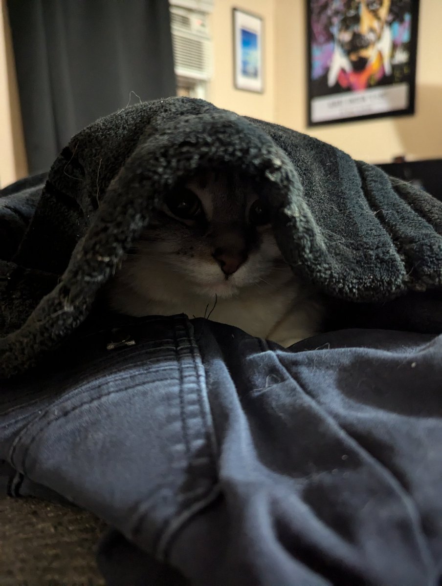 BaikenPlayer's tweet photo. Monday Nora post to start the week 

Also, posted on blue sky

https://t.co/NguRQ6SKWM https://t.co/Kx1S774kYr