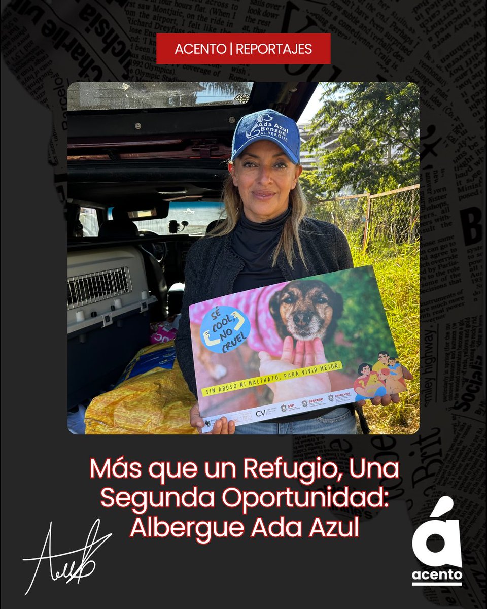 Acento_news's tweet photo. Más que un Refugio, Una Segunda Oportunidad: Albergue Ada Azul

Nota completa: 

https://t.co/7aXumMyf3v

#AdaAzul￼ #Alberge https://t.co/lsiEZneafs