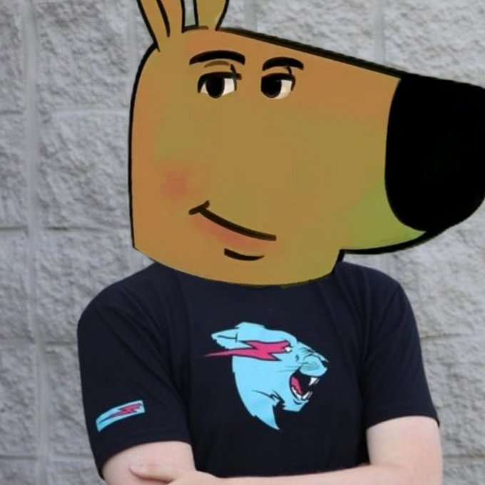 just a chill guy | fan page tweet media