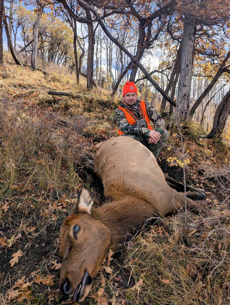 PNW Outdoor Reviews tweet media