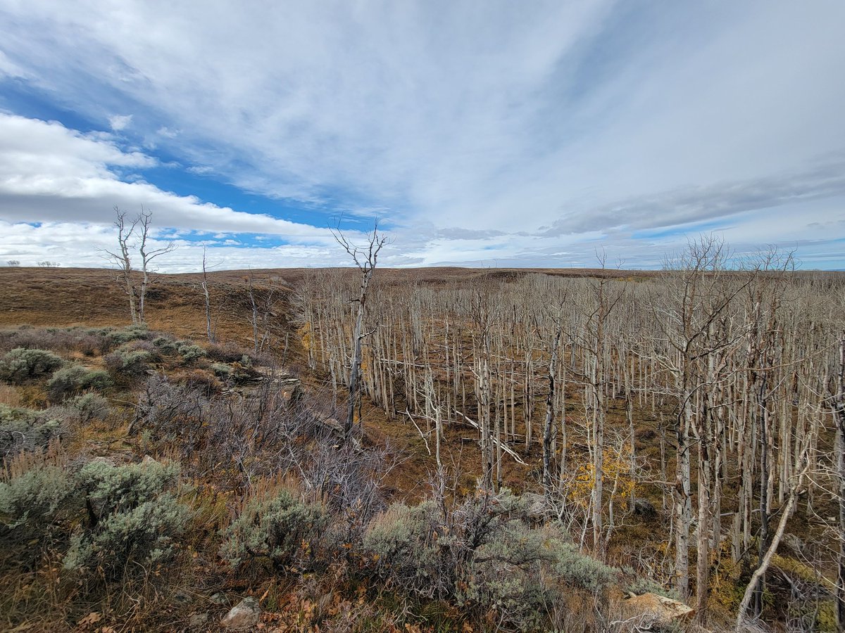 PNW Outdoor Reviews tweet media