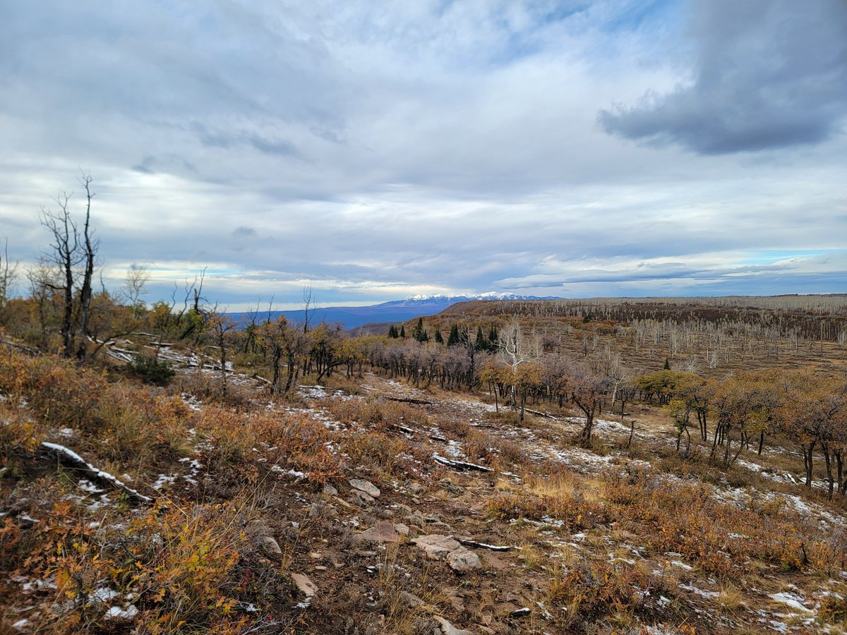 Couldn't be more grateful for the incredible week I had in Colorado ( just outside Grand Junction ) Special thank you to my buddy for the invite and looking forward to coming back. 
#elkhunt