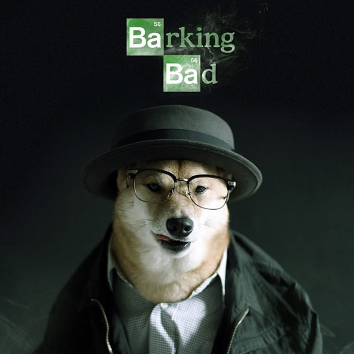 Rest in Peace to Bodhi, the chillest doge that ever lived ❤️🐕