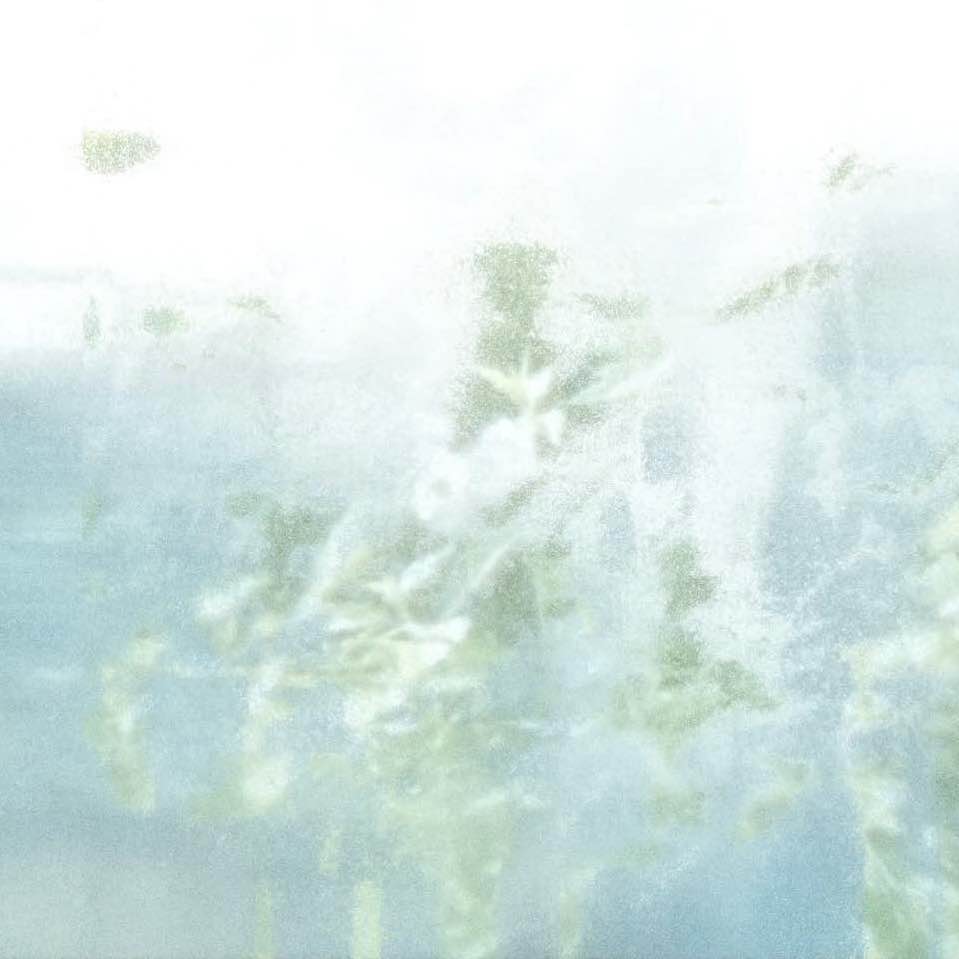 MusicChannel_J's tweet image. Music Producers KBSNK and Inu to Release Summer Song “SUMMER TIME” Even Though it is Winter in Japan!

Nov 27, 2024 Release
friendship.lnk.to/SUMMERTIME_KBS…

@kbsnk_templime @Inunoyume_
#KBSNK #Inu #SummerTime
#サマーポップ #SummerPop #Electro #Jpop #MusicChannel_J #MCJ #FRIENDSHIP