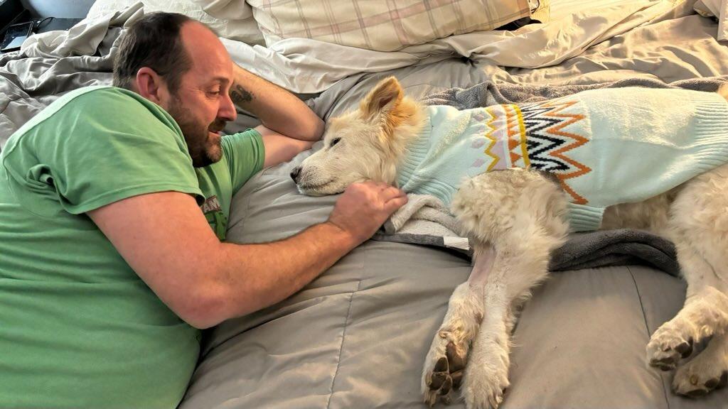 "Dear Linus"

thesecretlifeofpandas.com/2024/11/25/dea…