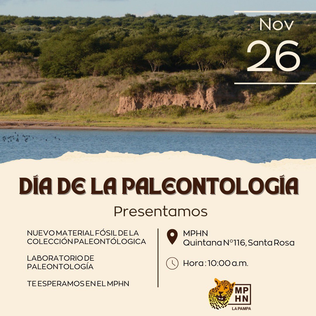 yoamolapampa's tweet photo. Martes 26 de noviembre a las 10 hs el Museo Provincial de Historia Natural dará a conocer un nuevo material #fósil de la Colección #Paleontológica.
Restos fósiles rescatados en la Reserva Laguna de #Utracán de #GeneralAcha en noviembre de 2019.
#lapampa
#yoamolapampa https://t.co/Xz7V53BNMW