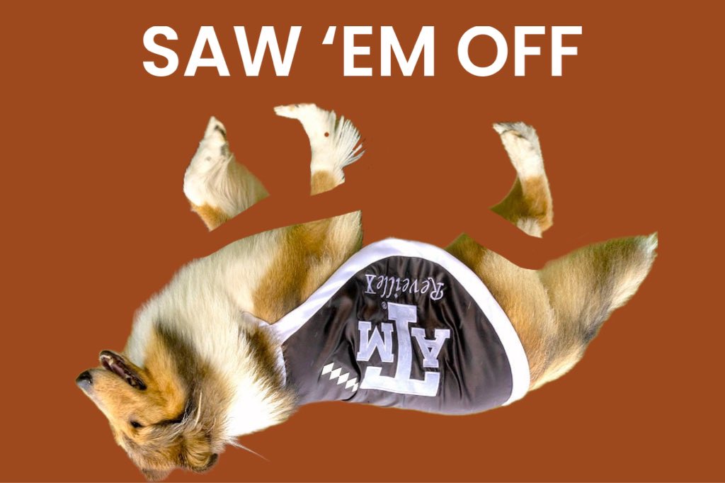 GdSPHKwW8AA5NMZ?format=jpg&name=medium