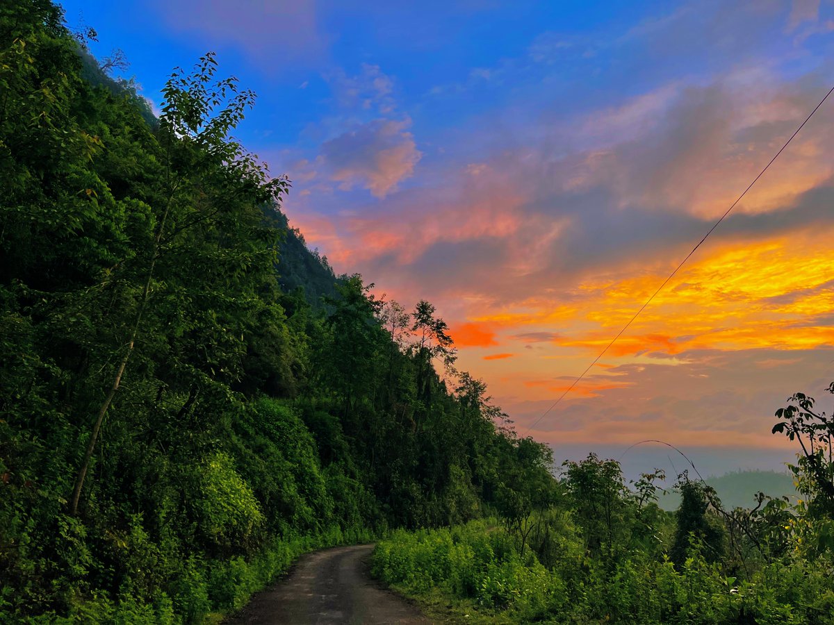 indian_pitta's tweet photo. Who else love a pretty sunset?
QT or drop yours 📷
One of my personal favourite from Eaglenest Wildlife Sanctuary, Arunachal Pradesh https://t.co/qEEQlpRcog