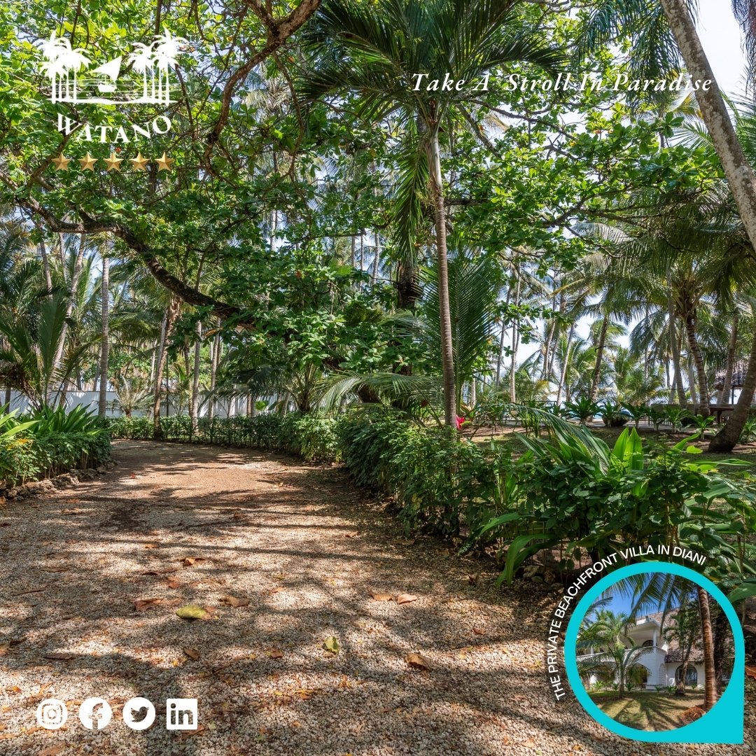🌟🏡🌊🌴🏖️🙋 Enjoy A Little You Time As You Lounge Under The Palm Trees At Watano 🙋‍♂️🏖️🌴🏡🌟  

🤳 Book Your Villa Today Call: 0701 232 362 🤳

💬 Enquire On Whatsapp (Reservation Enquiries Only): wa.me/+254701232362

✉️ info@watanohouse.com