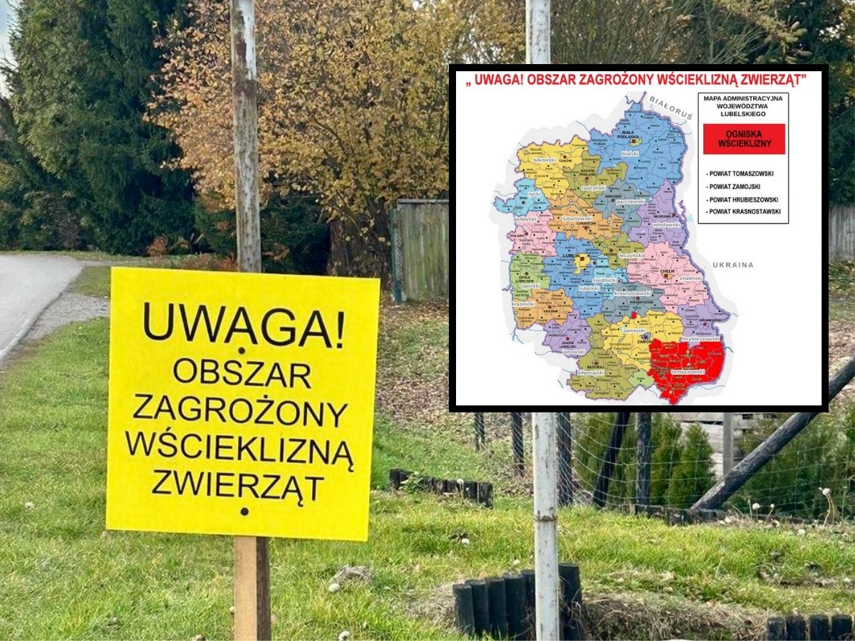 ElitarniINFO's tweet photo. W  powiecie tomaszowskim w Lubelskiem obowiązuje szczepienie kotów  przeciwko wściekliźnie. W regionie wykryto ponad 20 ognisk choroby,  głównie u dzikich zwierząt. https://t.co/jEYxQMDxz0 https://t.co/327TBXNgcz