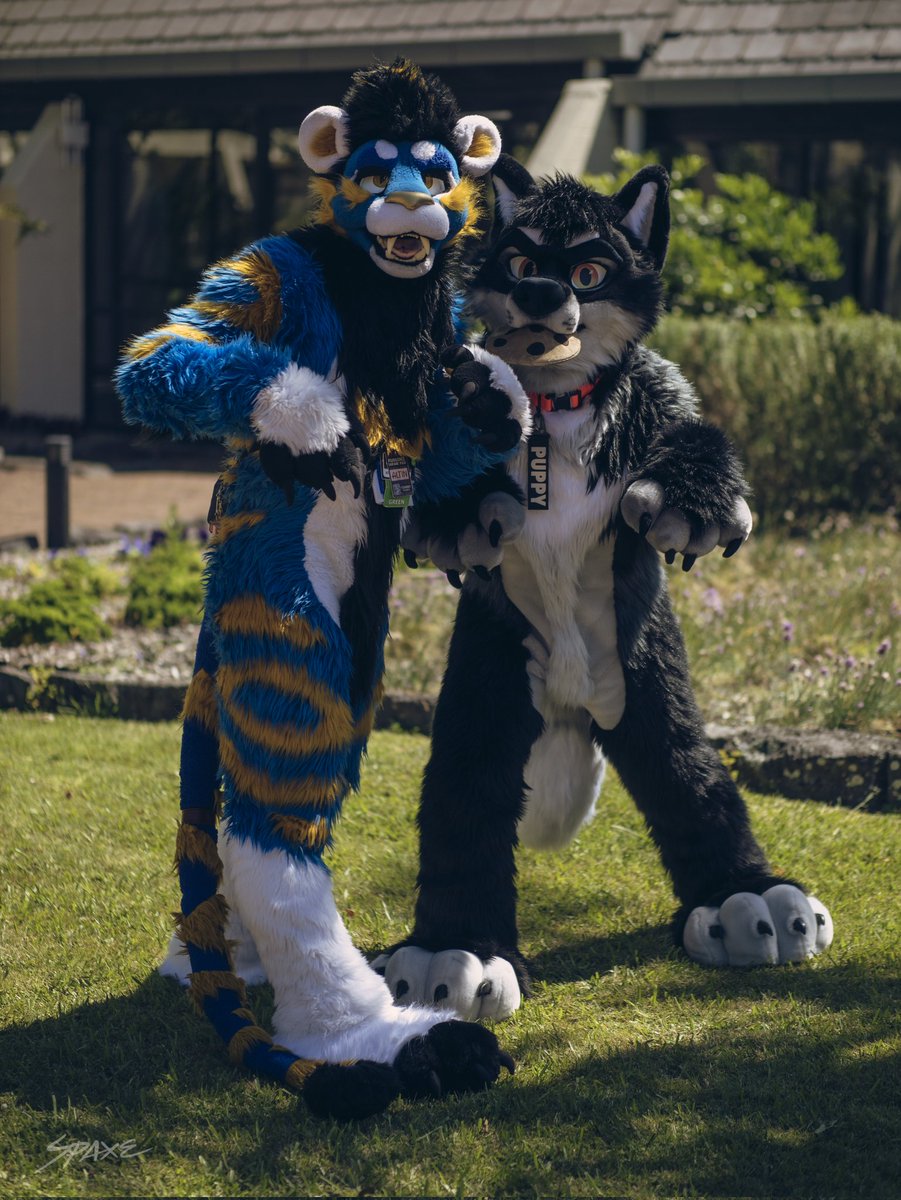 Zet 🔜 FurDU tweet media