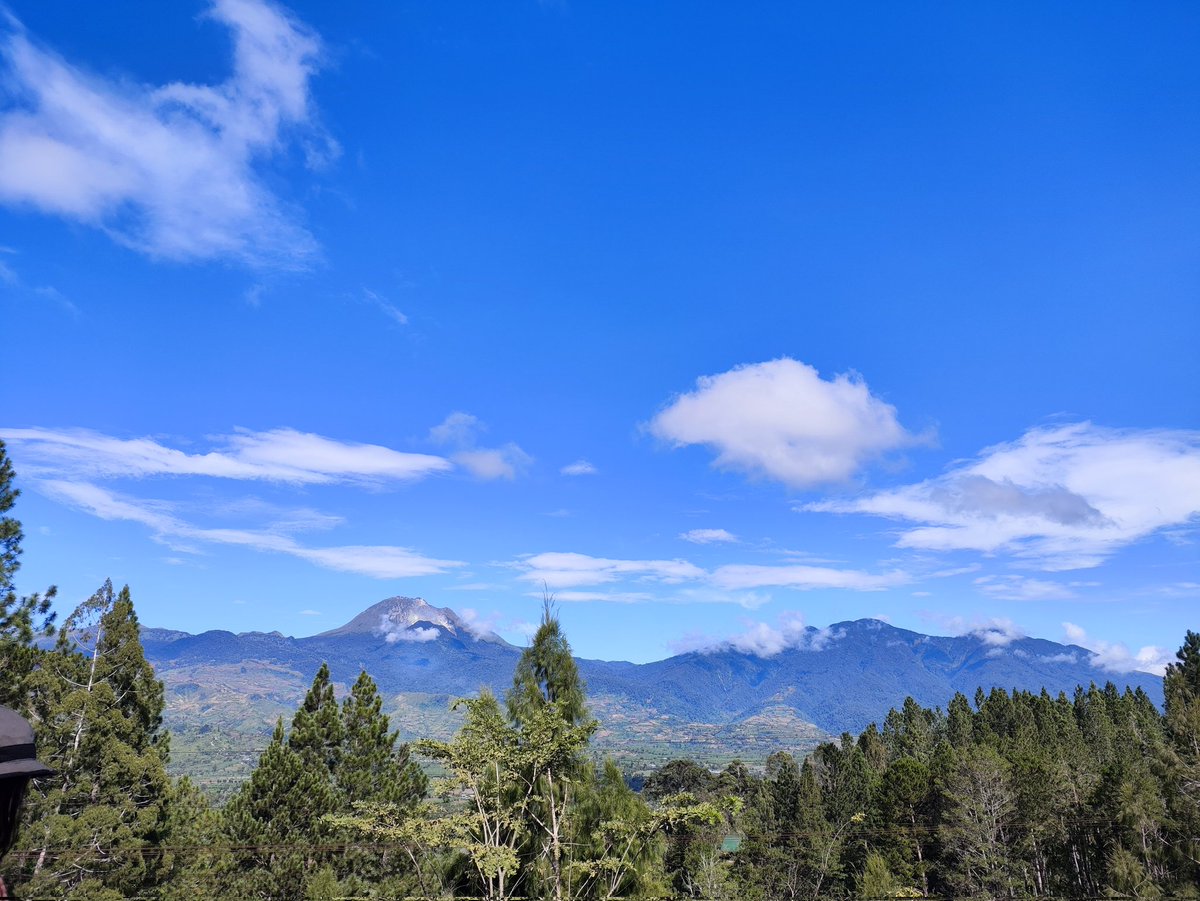 ashexiest's tweet image. 💚🩵🤍