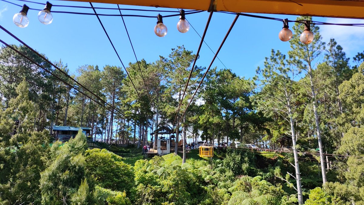 ashexiest's tweet image. 💚🩵🤍