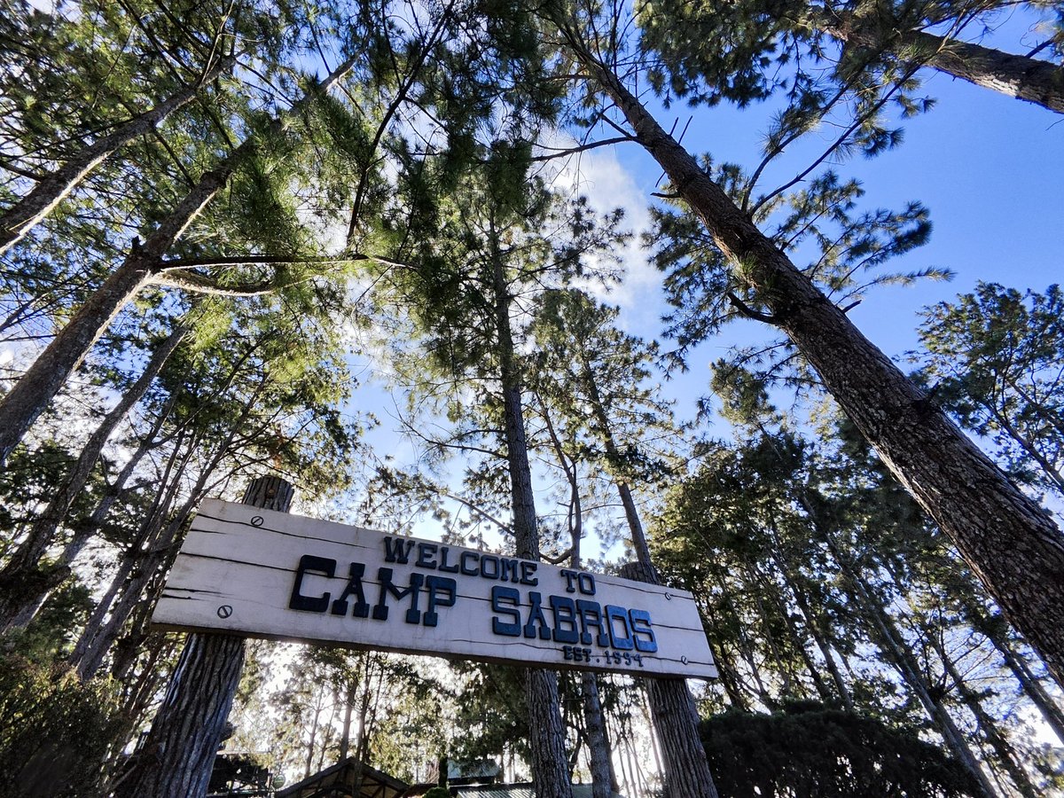 ashexiest's tweet image. 💚🩵🤍