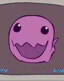 Leon_GG tweet media
