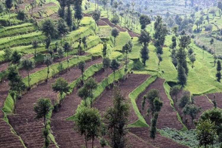 Elysee0fficial's tweet image. Soil erosion is a silent enemy of farming. Combat it with smart solutions like cover crops, Mulching, Agroforestry, Terraces, Contour farming and no-till farming.  #SoilProtection #FarmSmart