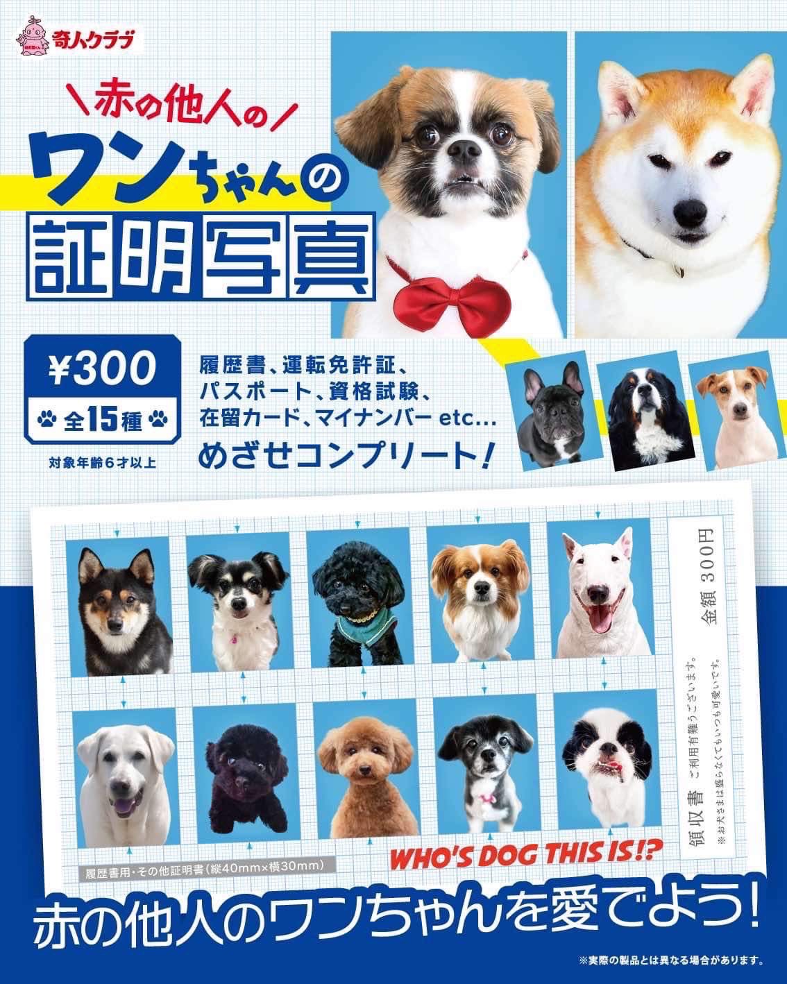大宮がちゃ処? on X: 
