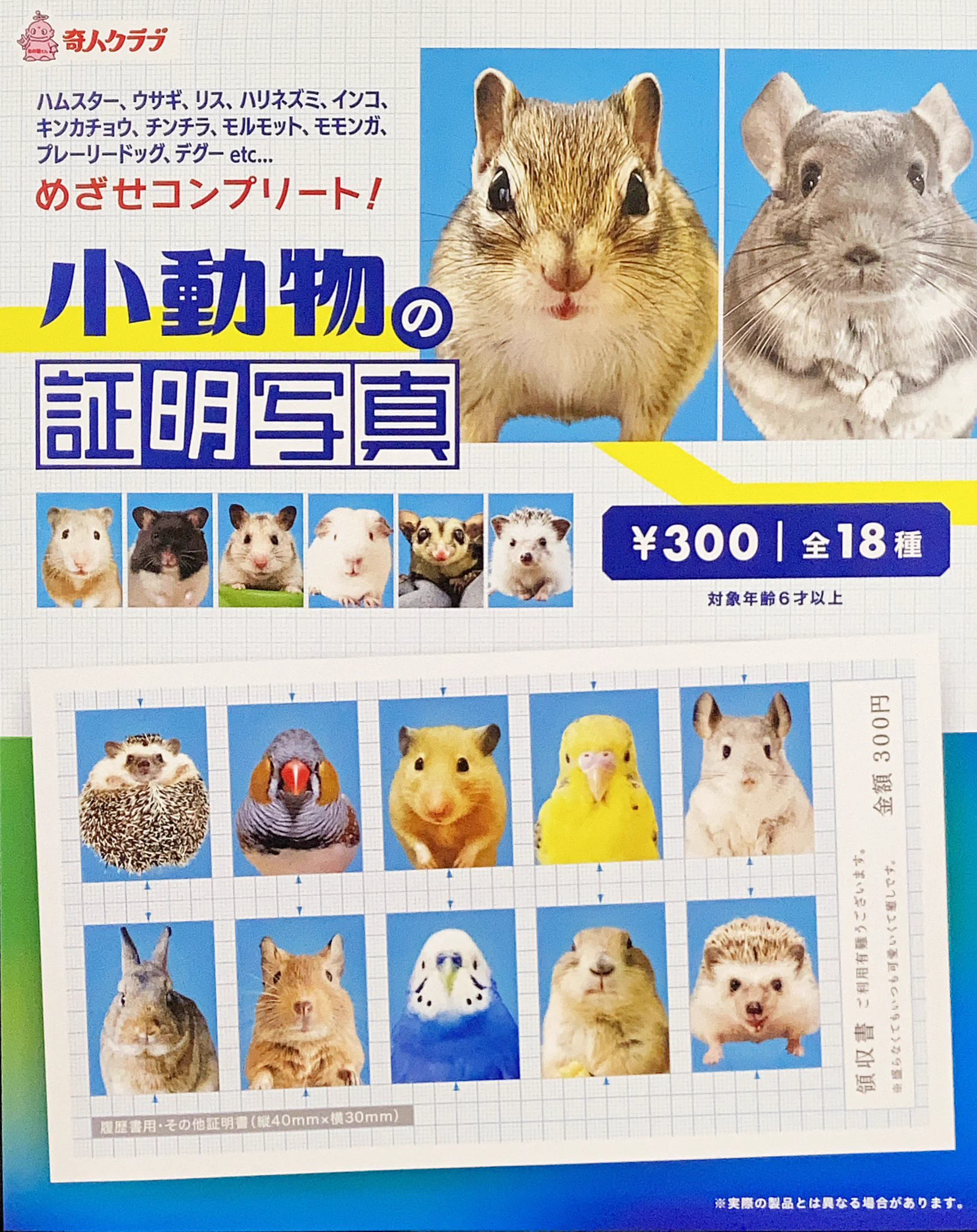 大宮がちゃ処🥼 on X: 