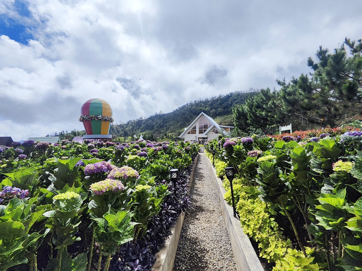 ashexiest's tweet image. 🪻